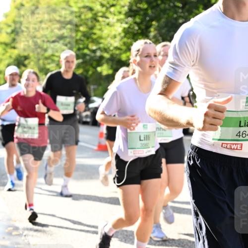 20.09.2026 - PSD Bank Halbmarathon Dr. Thomas Lammeyer http://msf.ph/oto/10502129 20.09.2026 10:56:57 Laufen 3560, 4647 meine-sportfotos.de
