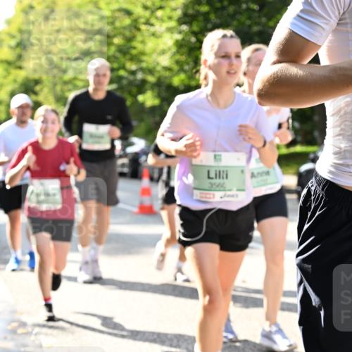 20.09.2026 - PSD Bank Halbmarathon Dr. Thomas Lammeyer http://msf.ph/oto/10502130 20.09.2026 10:56:57 Laufen 3560, 4647 meine-sportfotos.de