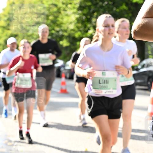 20.09.2026 - PSD Bank Halbmarathon Dr. Thomas Lammeyer http://msf.ph/oto/10502131 20.09.2026 10:56:57 Laufen  meine-sportfotos.de