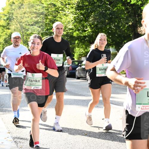 20.09.2026 - PSD Bank Halbmarathon Dr. Thomas Lammeyer http://msf.ph/oto/10502134 20.09.2026 10:56:58 Laufen 4427, 389, 3620, 3560 meine-sportfotos.de