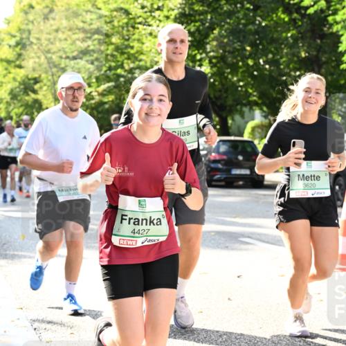 20.09.2026 - PSD Bank Halbmarathon Dr. Thomas Lammeyer http://msf.ph/oto/10502140 20.09.2026 10:56:58 Laufen 3082, 4427, 9, 3620 meine-sportfotos.de