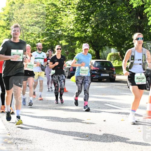 20.09.2026 - PSD Bank Halbmarathon Dr. Thomas Lammeyer http://msf.ph/oto/10502170 20.09.2026 10:57:02 Laufen 1830, 10, 4438 meine-sportfotos.de