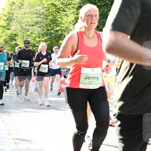 20.09.2026 - PSD Bank Halbmarathon Dr. Thomas Lammeyer http://msf.ph/oto/10502192 20.09.2026 10:57:04 Laufen 22841, 3900, 2824, 3735, 2871, 2006 meine-sportfotos.de