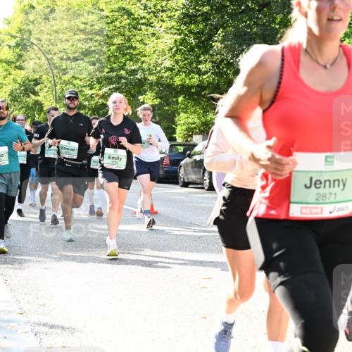 20.09.2026 - PSD Bank Halbmarathon Dr. Thomas Lammeyer http://msf.ph/oto/10502195 20.09.2026 10:57:04 Laufen 3900, 3735, 2871, 250 meine-sportfotos.de