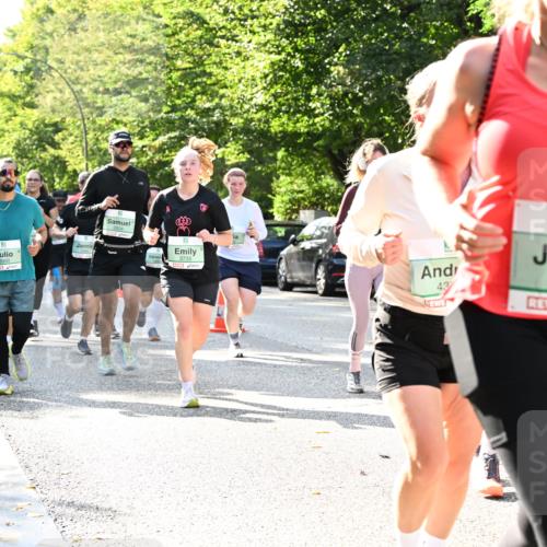 20.09.2026 - PSD Bank Halbmarathon Dr. Thomas Lammeyer http://msf.ph/oto/10502196 20.09.2026 10:57:05 Laufen 2824, 3735, 43, 2871, 25 meine-sportfotos.de