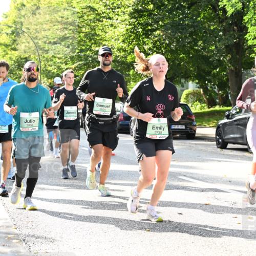 20.09.2026 - PSD Bank Halbmarathon Dr. Thomas Lammeyer http://msf.ph/oto/10502202 20.09.2026 10:57:06 Laufen 3900, 9, 2824, 14, 9, 3735, 4683, 2703 meine-sportfotos.de
