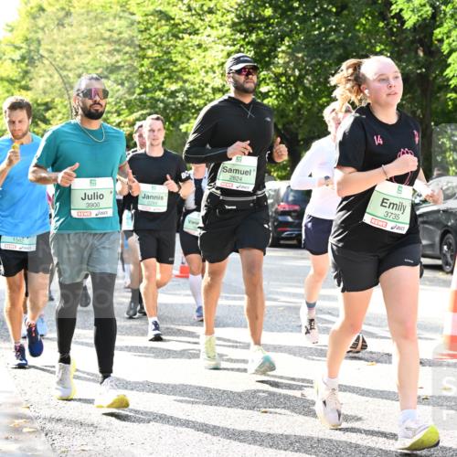 20.09.2026 - PSD Bank Halbmarathon Dr. Thomas Lammeyer http://msf.ph/oto/10502207 20.09.2026 10:57:06 Laufen 1562, 3900, 2284, 2824, 3735 meine-sportfotos.de