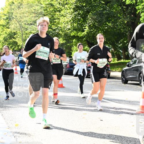 20.09.2026 - PSD Bank Halbmarathon Dr. Thomas Lammeyer http://msf.ph/oto/10502326 20.09.2026 10:57:22 Laufen 3014, 9, 4216, 4264, 2653, 2032, 253 meine-sportfotos.de