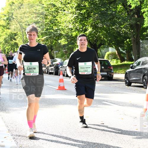 20.09.2026 - PSD Bank Halbmarathon Dr. Thomas Lammeyer http://msf.ph/oto/10502391 20.09.2026 10:57:29 Laufen 2878, 1352, 1963 meine-sportfotos.de