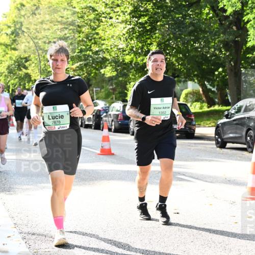 20.09.2026 - PSD Bank Halbmarathon Dr. Thomas Lammeyer http://msf.ph/oto/10502392 20.09.2026 10:57:29 Laufen 2878, 1352, 1963 meine-sportfotos.de