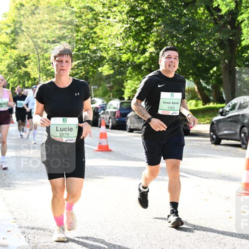 20.09.2026 - PSD Bank Halbmarathon Dr. Thomas Lammeyer http://msf.ph/oto/10502394 20.09.2026 10:57:30 Laufen 2878, 1352 meine-sportfotos.de