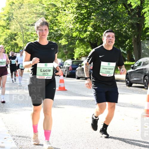 20.09.2026 - PSD Bank Halbmarathon Dr. Thomas Lammeyer http://msf.ph/oto/10502395 20.09.2026 10:57:30 Laufen 2878, 1352 meine-sportfotos.de