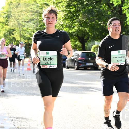 20.09.2026 - PSD Bank Halbmarathon Dr. Thomas Lammeyer http://msf.ph/oto/10502400 20.09.2026 10:57:30 Laufen 2878, 1352 meine-sportfotos.de