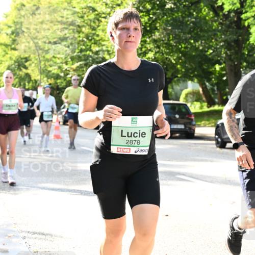 20.09.2026 - PSD Bank Halbmarathon Dr. Thomas Lammeyer http://msf.ph/oto/10502401 20.09.2026 10:57:30 Laufen 2878, 1352 meine-sportfotos.de