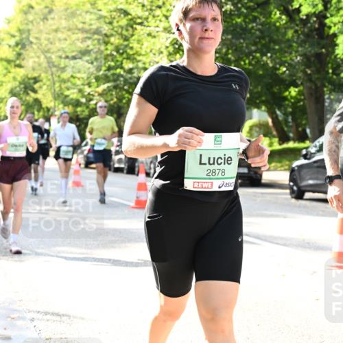 20.09.2026 - PSD Bank Halbmarathon Dr. Thomas Lammeyer http://msf.ph/oto/10502403 20.09.2026 10:57:31 Laufen 2878, 1352 meine-sportfotos.de