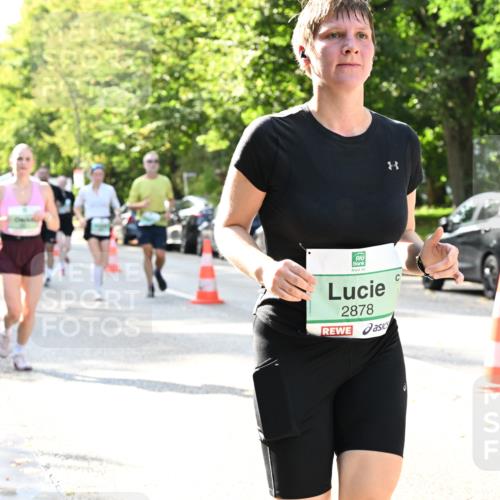 20.09.2026 - PSD Bank Halbmarathon Dr. Thomas Lammeyer http://msf.ph/oto/10502405 20.09.2026 10:57:31 Laufen 2878 meine-sportfotos.de