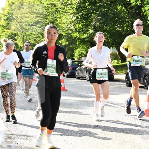 20.09.2026 - PSD Bank Halbmarathon Dr. Thomas Lammeyer http://msf.ph/oto/10502433 20.09.2026 10:57:35 Laufen 1211, 1948, 3084, 3086 meine-sportfotos.de