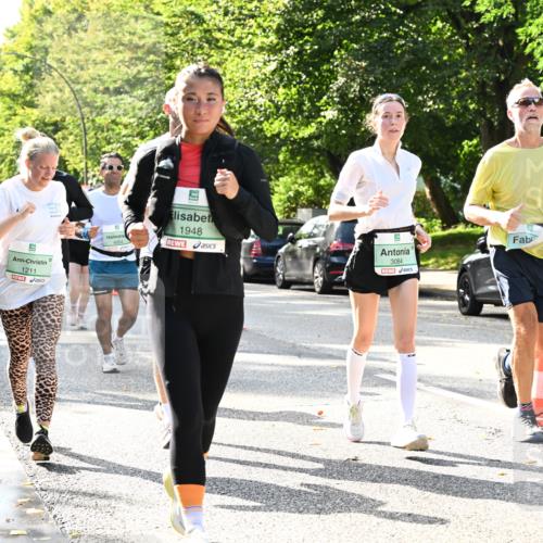 20.09.2026 - PSD Bank Halbmarathon Dr. Thomas Lammeyer http://msf.ph/oto/10502435 20.09.2026 10:57:35 Laufen 1211, 1948, 3084 meine-sportfotos.de