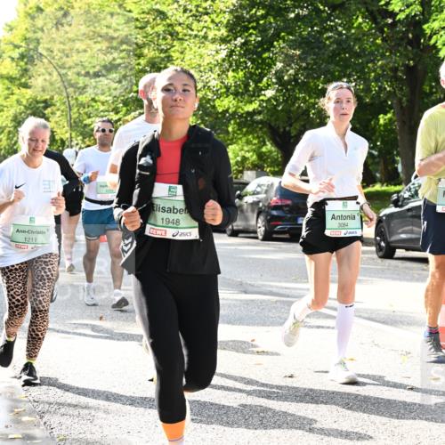 20.09.2026 - PSD Bank Halbmarathon Dr. Thomas Lammeyer http://msf.ph/oto/10502436 20.09.2026 10:57:35 Laufen 4004, 1211, 1948, 3084, 3086 meine-sportfotos.de