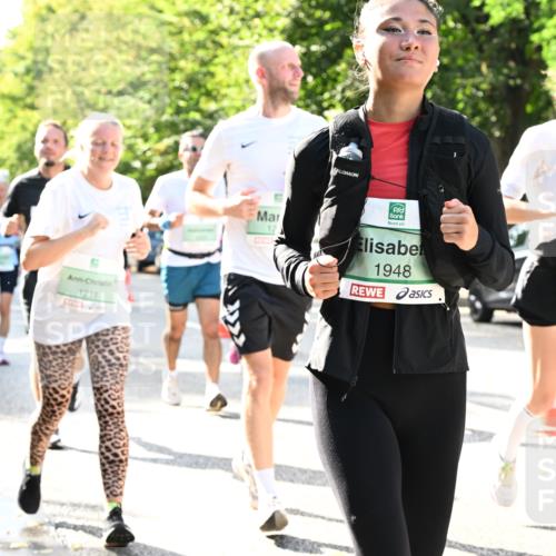 20.09.2026 - PSD Bank Halbmarathon Dr. Thomas Lammeyer http://msf.ph/oto/10502442 20.09.2026 10:57:35 Laufen 1211, 12, 1948, 3064 meine-sportfotos.de