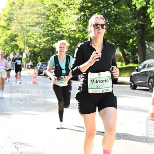 20.09.2026 - PSD Bank Halbmarathon Dr. Thomas Lammeyer http://msf.ph/oto/10502575 20.09.2026 10:57:52 Laufen 2259 meine-sportfotos.de