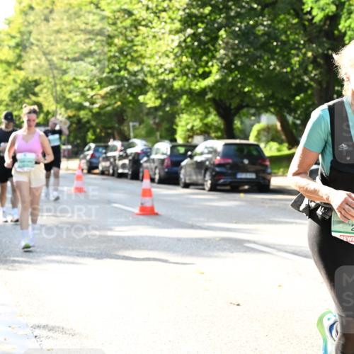 20.09.2026 - PSD Bank Halbmarathon Dr. Thomas Lammeyer http://msf.ph/oto/10502585 20.09.2026 10:57:53 Laufen 2513 meine-sportfotos.de