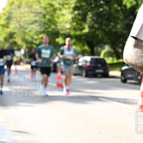 20.09.2026 - PSD Bank Halbmarathon Dr. Thomas Lammeyer http://msf.ph/oto/10502674 20.09.2026 10:58:03 Laufen  meine-sportfotos.de