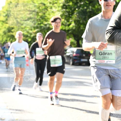 20.09.2026 - PSD Bank Halbmarathon Dr. Thomas Lammeyer http://msf.ph/oto/10502737 20.09.2026 10:58:10 Laufen 2893 meine-sportfotos.de