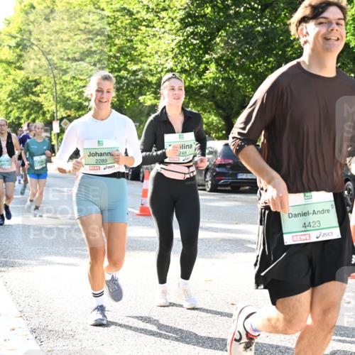 20.09.2026 - PSD Bank Halbmarathon Dr. Thomas Lammeyer http://msf.ph/oto/10502745 20.09.2026 10:58:11 Laufen 248, 2289, 4423 meine-sportfotos.de