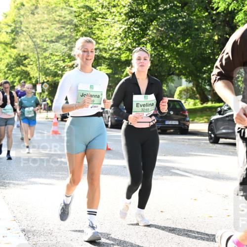20.09.2026 - PSD Bank Halbmarathon Dr. Thomas Lammeyer http://msf.ph/oto/10502748 20.09.2026 10:58:11 Laufen 39, 3248, 4423 meine-sportfotos.de