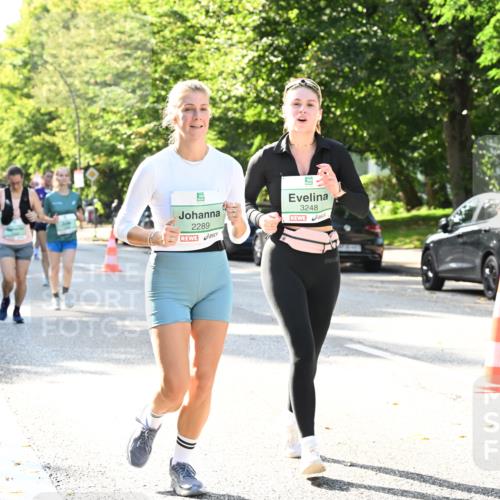20.09.2026 - PSD Bank Halbmarathon Dr. Thomas Lammeyer http://msf.ph/oto/10502750 20.09.2026 10:58:11 Laufen 2289, 3248 meine-sportfotos.de