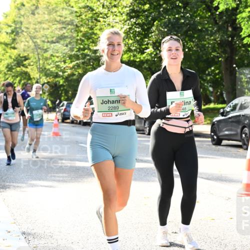 20.09.2026 - PSD Bank Halbmarathon Dr. Thomas Lammeyer http://msf.ph/oto/10502753 20.09.2026 10:58:11 Laufen 2289, 48 meine-sportfotos.de