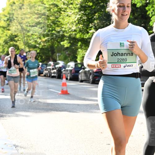 20.09.2026 - PSD Bank Halbmarathon Dr. Thomas Lammeyer http://msf.ph/oto/10502760 20.09.2026 10:58:12 Laufen 2289 meine-sportfotos.de