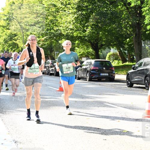20.09.2026 - PSD Bank Halbmarathon Dr. Thomas Lammeyer http://msf.ph/oto/10502771 20.09.2026 10:58:14 Laufen 2976, 1688, 1988, 4683 meine-sportfotos.de