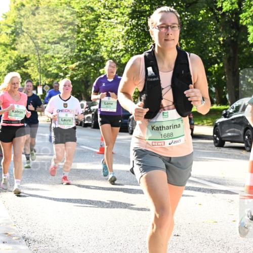 20.09.2026 - PSD Bank Halbmarathon Dr. Thomas Lammeyer http://msf.ph/oto/10502789 20.09.2026 10:58:15 Laufen 24, 2976, 4270, 1688, 1988 meine-sportfotos.de