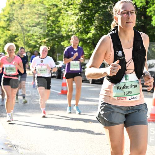 20.09.2026 - PSD Bank Halbmarathon Dr. Thomas Lammeyer http://msf.ph/oto/10502792 20.09.2026 10:58:16 Laufen 1688 meine-sportfotos.de