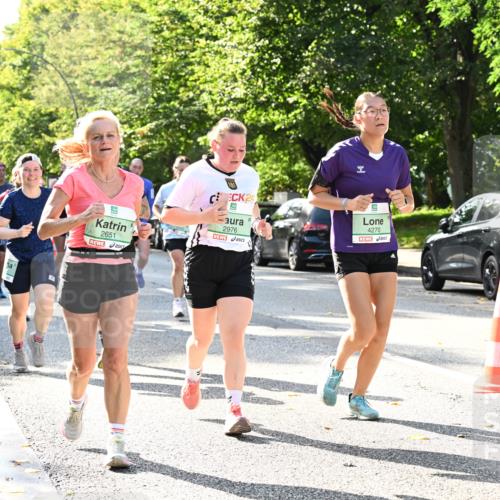 20.09.2026 - PSD Bank Halbmarathon Dr. Thomas Lammeyer http://msf.ph/oto/10502800 20.09.2026 10:58:17 Laufen 2651, 2, 5, 2976, 4270 meine-sportfotos.de