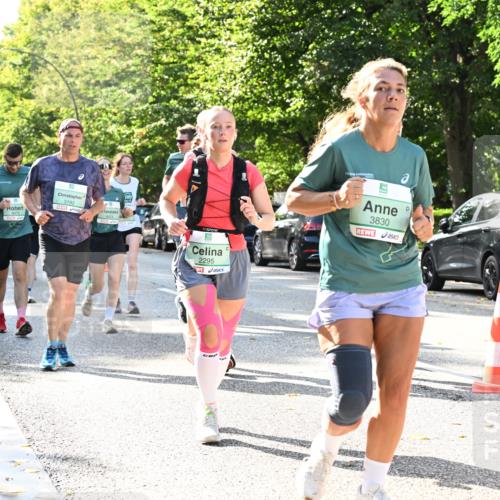 20.09.2026 - PSD Bank Halbmarathon Dr. Thomas Lammeyer http://msf.ph/oto/10502832 20.09.2026 10:58:20 Laufen 4475, 3192, 2295, 3830, 28 meine-sportfotos.de