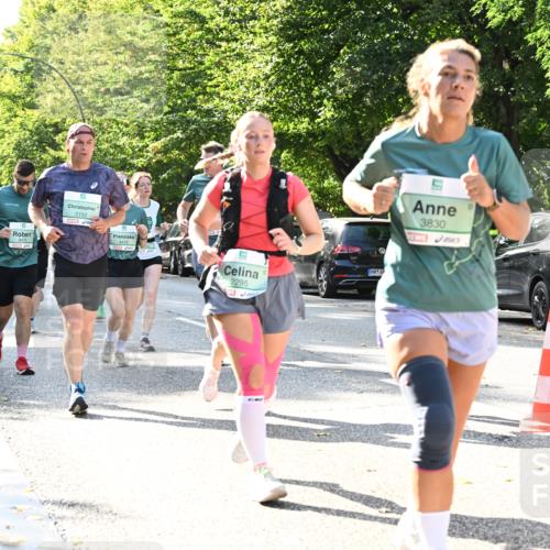 20.09.2026 - PSD Bank Halbmarathon Dr. Thomas Lammeyer http://msf.ph/oto/10502833 20.09.2026 10:58:21 Laufen 3192, 4474, 2295, 3830 meine-sportfotos.de