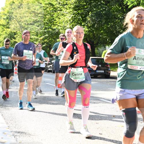 20.09.2026 - PSD Bank Halbmarathon Dr. Thomas Lammeyer http://msf.ph/oto/10502837 20.09.2026 10:58:21 Laufen 6192, 4475, 2295, 4683, 3830 meine-sportfotos.de
