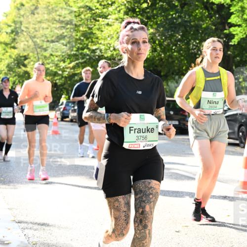 20.09.2026 - PSD Bank Halbmarathon Dr. Thomas Lammeyer http://msf.ph/oto/10502893 20.09.2026 10:58:27 Laufen 3756, 2604 meine-sportfotos.de