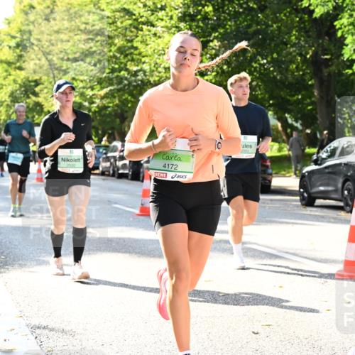20.09.2026 - PSD Bank Halbmarathon Dr. Thomas Lammeyer http://msf.ph/oto/10502916 20.09.2026 10:58:29 Laufen 2532, 4172, 2083, 50, 4173 meine-sportfotos.de