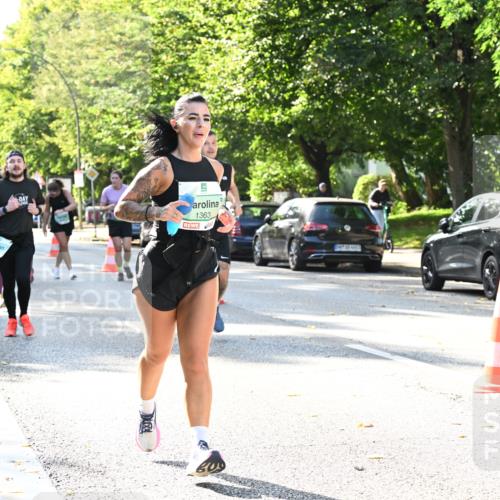 20.09.2026 - PSD Bank Halbmarathon Dr. Thomas Lammeyer http://msf.ph/oto/10503009 20.09.2026 10:58:40 Laufen 1363, 0 meine-sportfotos.de