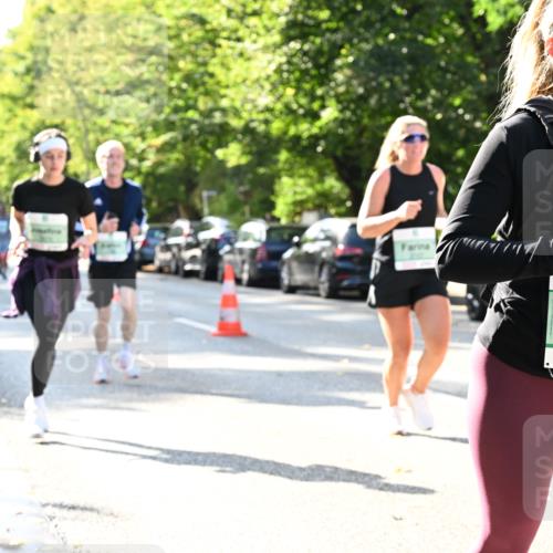 20.09.2026 - PSD Bank Halbmarathon Dr. Thomas Lammeyer http://msf.ph/oto/10503058 20.09.2026 10:58:46 Laufen 1939 meine-sportfotos.de