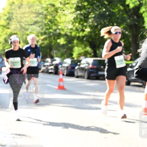 20.09.2026 - PSD Bank Halbmarathon Dr. Thomas Lammeyer http://msf.ph/oto/10503060 20.09.2026 10:58:46 Laufen  meine-sportfotos.de