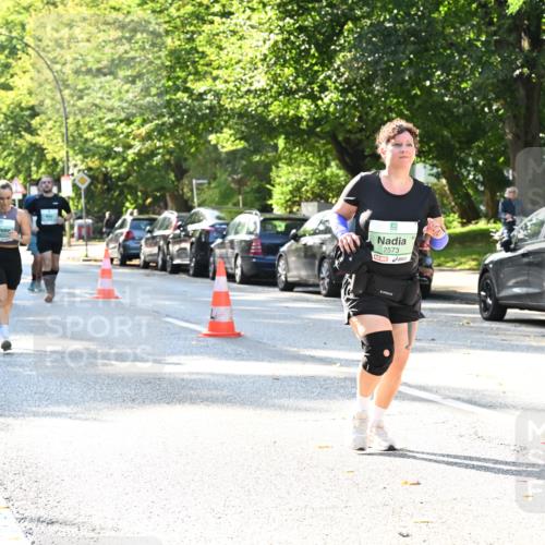 20.09.2026 - PSD Bank Halbmarathon Dr. Thomas Lammeyer http://msf.ph/oto/10503247 20.09.2026 10:59:09 Laufen 2573 meine-sportfotos.de