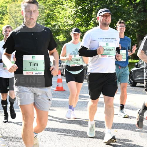 20.09.2026 - PSD Bank Halbmarathon Dr. Thomas Lammeyer http://msf.ph/oto/10503319 20.09.2026 10:59:17 Laufen 1477, 3043, 2385, 1938 meine-sportfotos.de