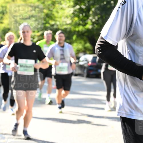 20.09.2026 - PSD Bank Halbmarathon Dr. Thomas Lammeyer http://msf.ph/oto/10503346 20.09.2026 10:59:20 Laufen 10, 630 meine-sportfotos.de