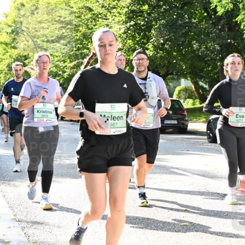 20.09.2026 - PSD Bank Halbmarathon Dr. Thomas Lammeyer http://msf.ph/oto/10503347 20.09.2026 10:59:21 Laufen 3976, 987, 4271 meine-sportfotos.de