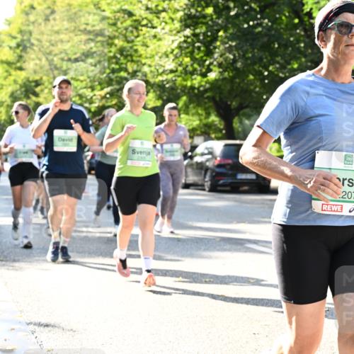 20.09.2026 - PSD Bank Halbmarathon Dr. Thomas Lammeyer http://msf.ph/oto/10503444 20.09.2026 10:59:29 Laufen 207 meine-sportfotos.de